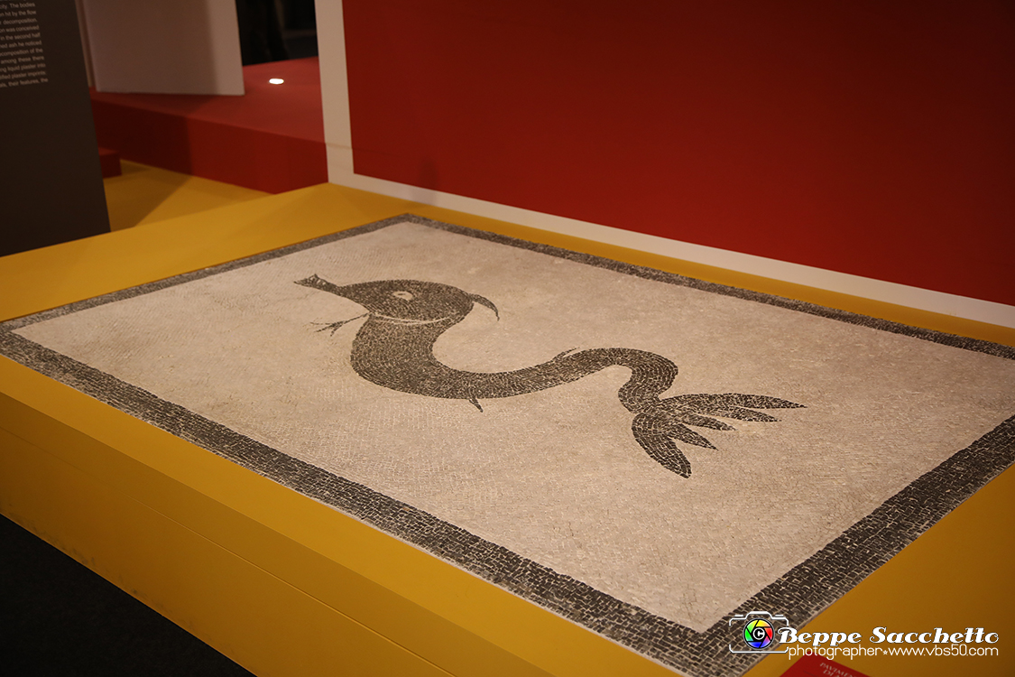 VBS_8989 - Mostra Invito a Pompei.jpg